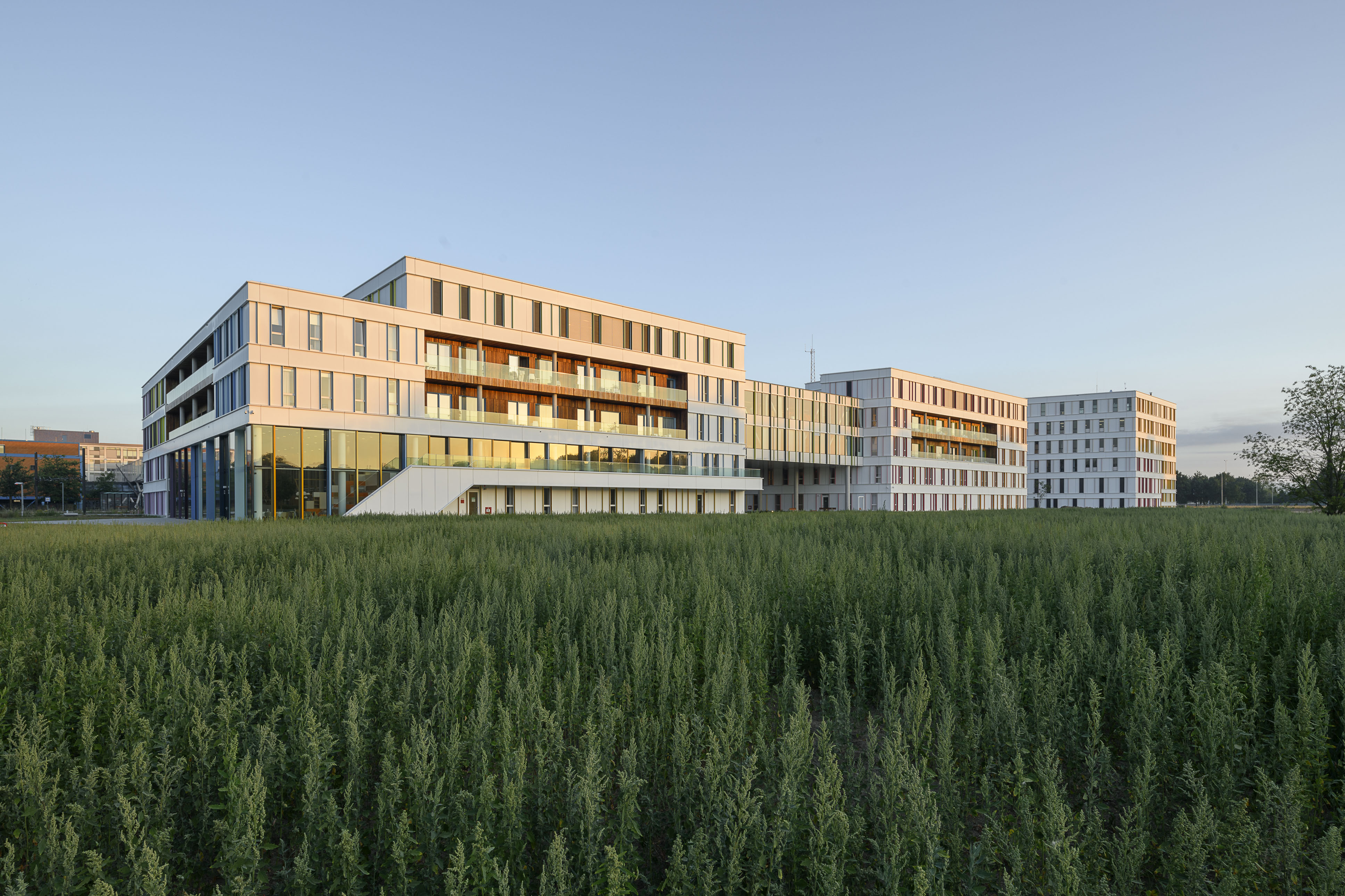 PMC